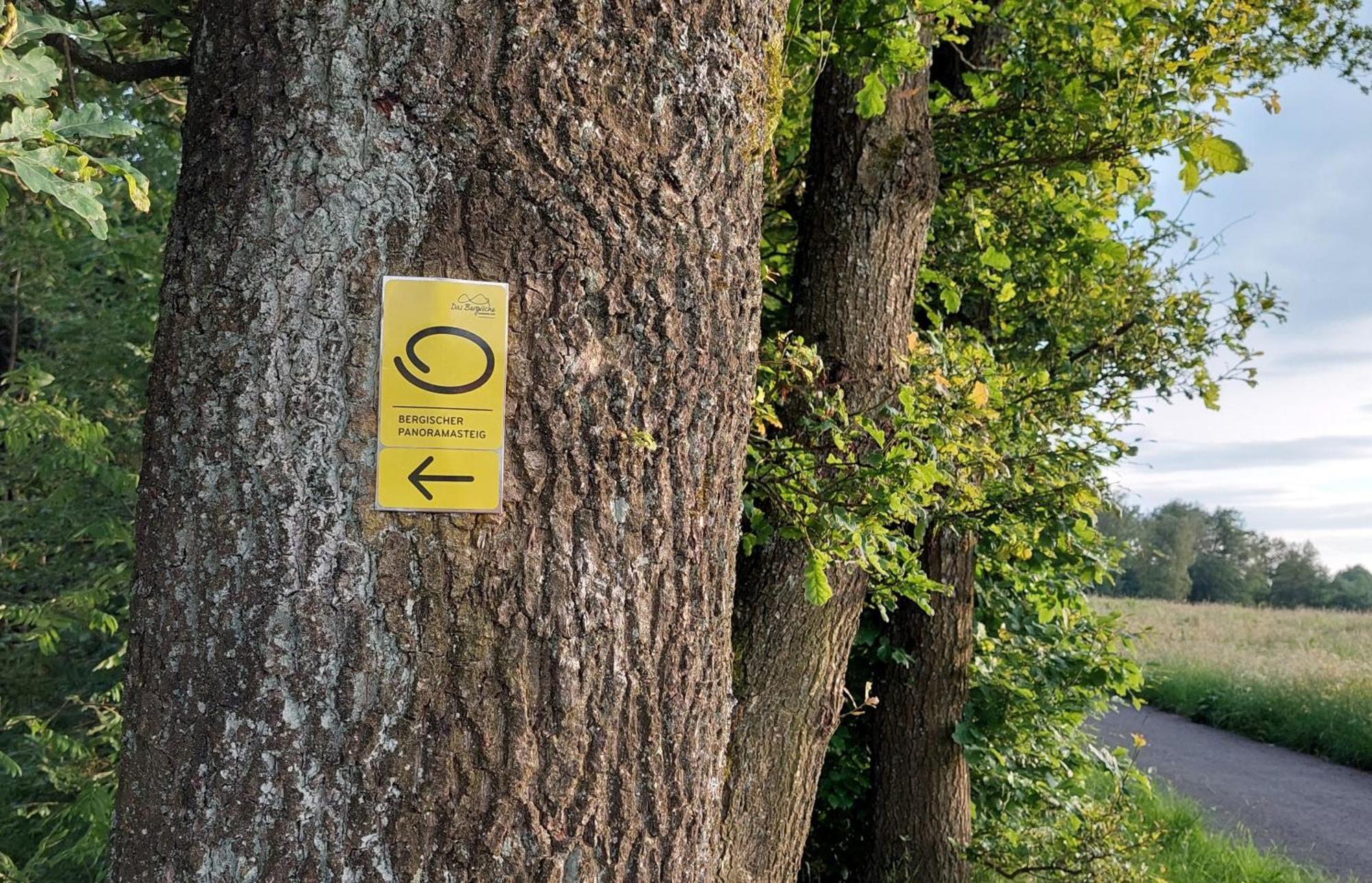 Ferienwohnung Waldbroel - Nahe Naturerlebnispark Waldbrol Esterno foto