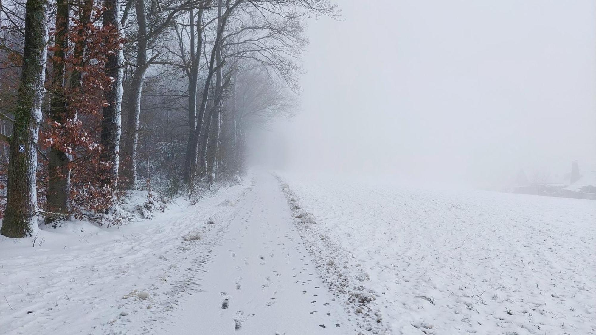 Ferienwohnung Waldbroel - Nahe Naturerlebnispark Waldbrol Esterno foto
